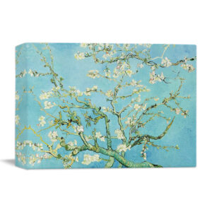 Almendro en Flor