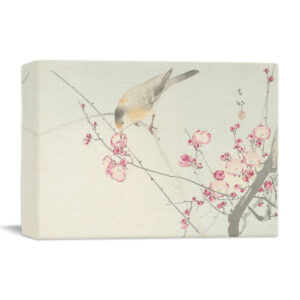 SongBird On blossom