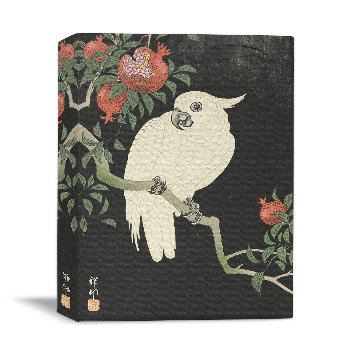 Cacatua y granada