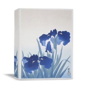Irises