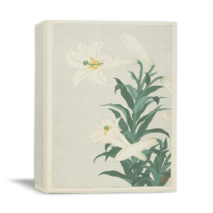Lilies